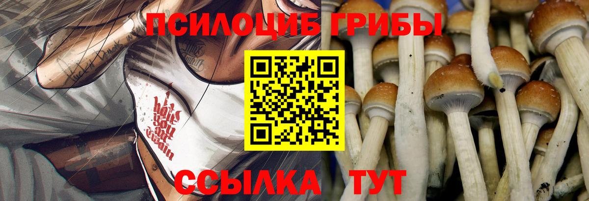 Псилоцибиновые грибы ЛСД  наркота  Псилоцибиновые грибы мухоморы  Тула  Вход с VPN 