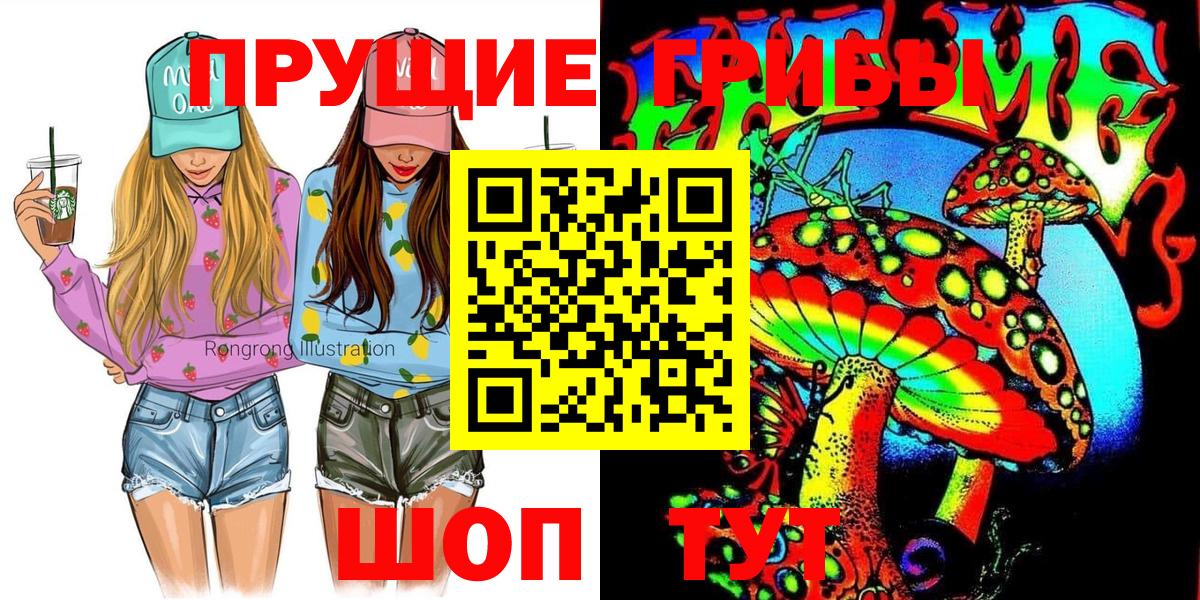 МЕФ Тула